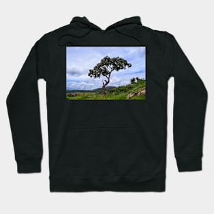 African Tree Hoodie